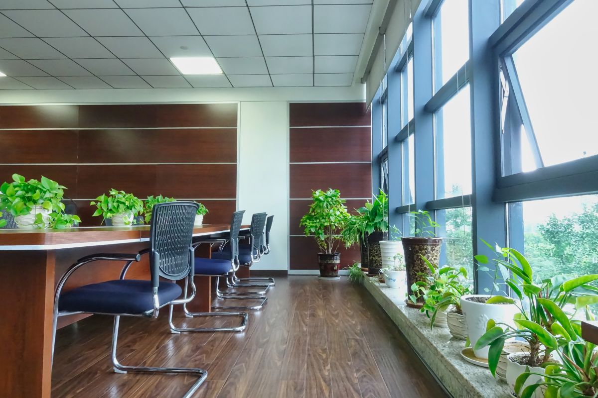 这才叫绿色环保，四川凯发一触即发环保办公室盛夏绿意
