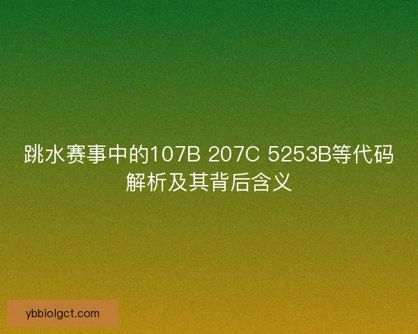 跳水赛事中的107B 207C 5253B等代码解析及其背后含义