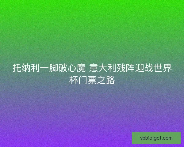 托纳利一脚破心魔 意大利残阵迎战世界杯门票之路